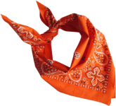 pngfind.com-bandana-png-491283.png