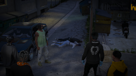 FiveM_b3751_GTAProcess 2026-03-01 22-25-25_567.png