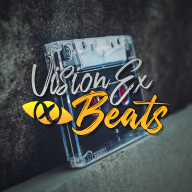 VisionEx