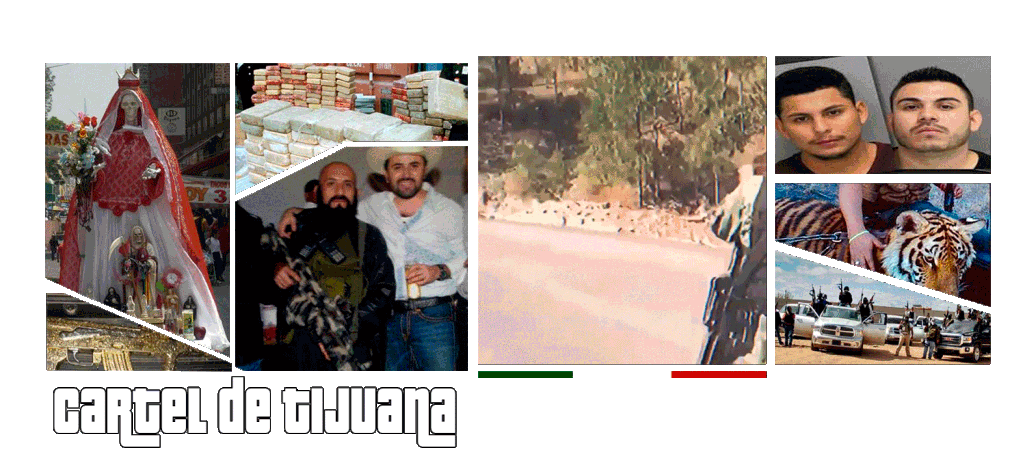 cartel-de-tijuana__1_.gif