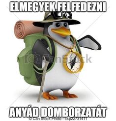 392af67beb013cacf99a3847f212cca7.jpg